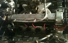 hacer click para ampliar